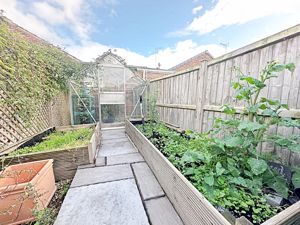 Vegetable Patch - click for photo gallery